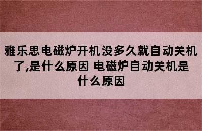 雅乐思电磁炉开机没多久就自动关机了,是什么原因 电磁炉自动关机是什么原因